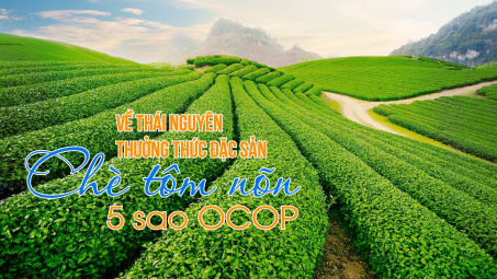 Về Thái Nguyên thưởng thức đặc sản chè tôm nõn 5 sao OCOP