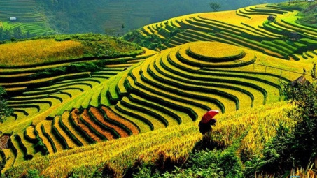 Điện Biên hỗ trợ đào tạo nghề cho bà con các dân tộc