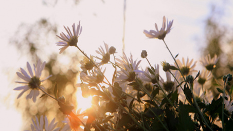 Thời tiết hôm nay ngày 04/11/2023: Hà Nội và Đà Nẵng trưa chiều hửng nắng, Thành phố Hồ Chí Minh chiều tối có lúc có mưa