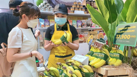 Hoàng Anh Gia Lai (HAG): Doanh thu từ chuối sẽ tăng mạnh trong quý 4