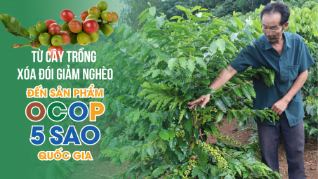 Cà phê Sơn La: Từ cây trồng xoá đói giảm nghèo đến sản phẩm OCOP 5 sao quốc gia