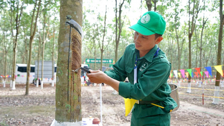 Tập đoàn Công nghiệp Cao su Việt Nam (GVR) sắp chi 1.400 tỷ đồng để chia cổ tức