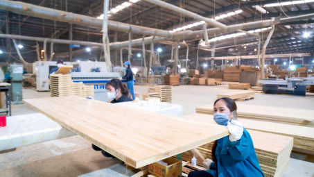 Cổ phiếu SJF của “ông lớn” tre công nghiệp Sao Thái Dương bị đình chỉ giao dịch