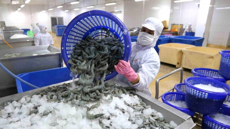 Xuất khẩu tôm gặp khó, “vua tôm” Thủy sản Minh Phú (MPC) báo lỗ ròng 110 tỷ đồng