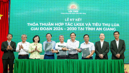 Tập đoàn Lộc Trời (LTG) xây liên kết sản xuất 300.000 ha với mục tiêu sản xuất 5 triệu tấn lúa/năm