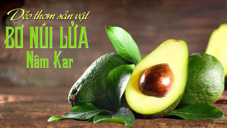 Dẻo thơm sản vật bơ núi lửa Nâm Kar