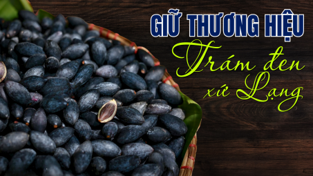 Giữ thương hiệu Trám đen xứ Lạng