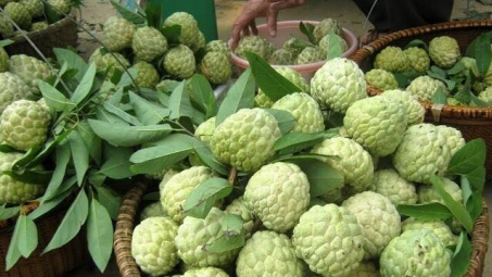 Cần thêm những cách làm hay và sáng tạo