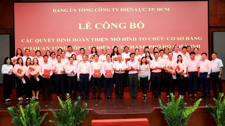 Hoàn thiện mô hình tổ chức cơ sở đảng Cơ quan Tổng công ty Điện lực TP.HCM