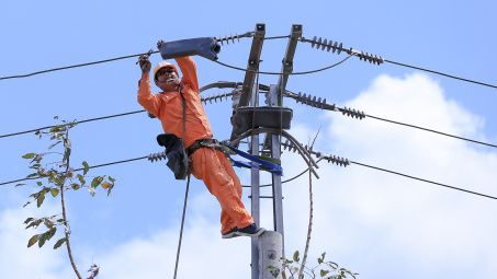 Điện lực miền Nam đảm bảo dòng điện an toàn, ổn định trong dịp Tết Nguyên đán
