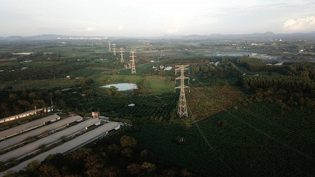 Giải phóng mặt bằng dự án truyền tải điện: Cần sự vào cuộc từ các bộ, ngành, địa phương