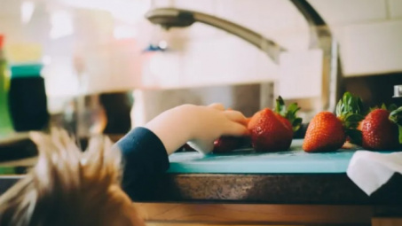 Đan Mạch: Khí sinh học từ chất thải thực phẩm có thể thay thế khí đốt tự nhiên nhập khẩu