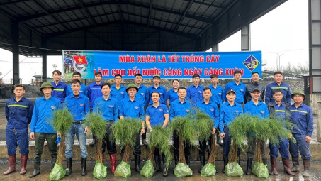 Tuổi trẻ Than Thống Nhất hưởng ứng Tết trồng cây “Đời đời nhớ ơn Bác Hồ”