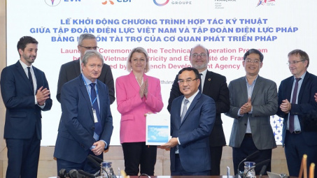 Tập đoàn Điện lực Việt Nam tiếp Tổng giám đốc AFD