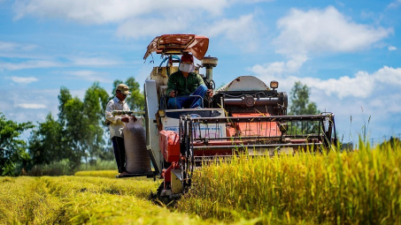 Giá lương thực thế giới giảm tháng thứ 10 liên tiếp