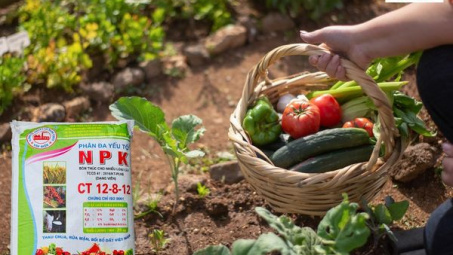 Phân bón văn Điển: Vững thương hiệu "phân bón nội, chất lượng quốc tế”