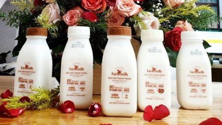 Các yếu tố ảnh hưởng đến sự nhận diện thương hiệu sữa Farmmilk tại thành phố Hồ Chí Minh