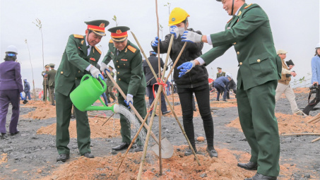 Tổng công ty Đông Bắc hưởng ứng “Tết trồng cây đời đời nhớ ơn Bác Hồ”