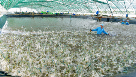 Sóc Trăng: Doanh nghiệp được giảm 30% thuế thuê đất, thuê mặt nước