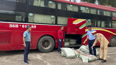Quảng Ninh: Phát hiện gần 500kg lòng lợn sấy khô ẩm mốc, chảy nước bốc mùi hôi thối