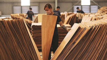Hoa Kỳ gia hạn lần thứ 6 điều tra lẩn tránh phòng vệ thương mại gỗ dán