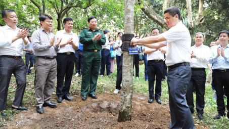 Công ty Supe Lâm Thao trồng 300 cây xanh tại Khu Di tích lịch sử K9 Đá Chông