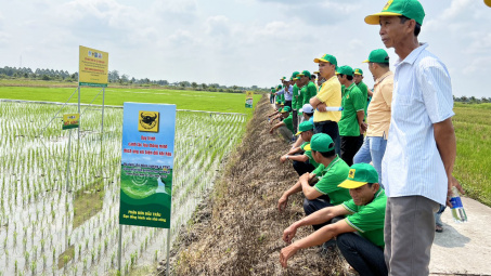 Thúc đẩy các sáng kiến sản xuất nông nghiệp thông minh, ứng phó biến đổi khí hậu