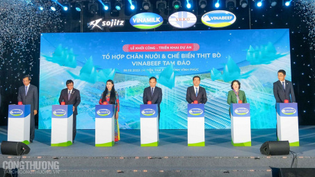 Vinamilk khởi công Tổ hợp chăn nuôi - chế biến bò thịt công nghệ cao tại Vĩnh Phúc