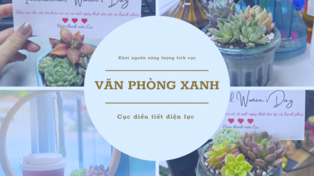 Cục Điều tiết điện lực: Văn phòng sáng - xanh - sạch, khơi nguồn năng lượng tích cực