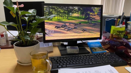 Chi đoàn Vụ Thị trường trong nước lan toả tinh thần xanh - sạch - đẹp