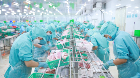 Tập đoàn Sao Mai (ASM): Dự kiến không chia cổ tức năm 2022, đặt mục tiêu lợi nhuận 2023 giảm 43%