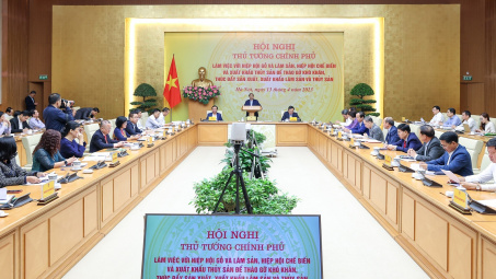 Kịp thời tháo gỡ khó khăn cho doanh nghiệp, thúc đẩy xuất khẩu thủy sản, lâm sản