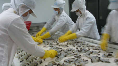 Thực phẩm Sao Ta (FMC): Dồn tổng lực phát triển thị trường Nhật Bản, sẵn sàng tăng tốc khi nhu cầu phục hồi