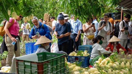 Sắp diễn ra Lễ hội Xoài Đồng Tháp năm 2023