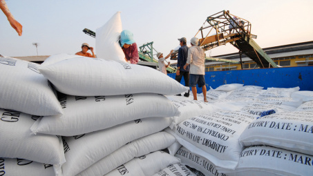 Giá gạo xuất khẩu Việt Nam giữ ổn định, dự báo quý II/2023 tích cực