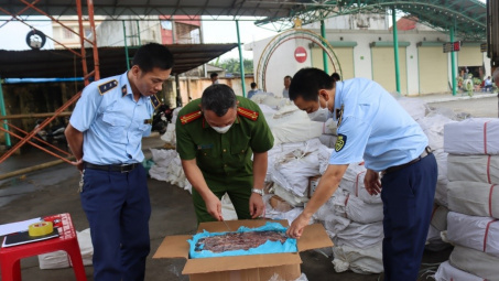 Tăng cường chống buôn lậu, gian lận thương mại nhóm hàng dược phẩm, mỹ phẩm, thực phẩm chức năng, dược liệu.