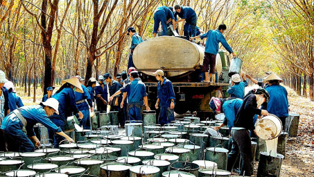Trung Quốc tiếp tục là thị trường xuất khẩu cao su lớn nhất của Việt Nam
