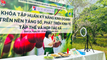 Tập huấn, hỗ trợ doanh nghiệp, hợp tác xã tỉnh Sơn La kinh doanh trên nền tảng số