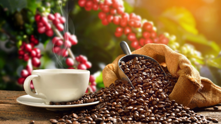Giá cà phê ngày 22/4: Trong nước tăng nhẹ 100 đồng/kg, thế giới biến động trái chiều