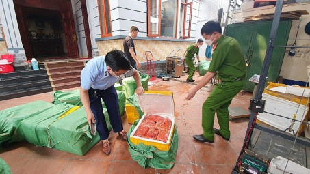 Hà Nội: Tạm giữ gần 1 tấn thực phẩm đông lạnh bốc mùi không rõ nguồn gốc