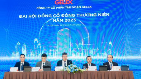 ĐHĐCĐ Tập đoàn GELEX: Sẽ đầu tư theo chiều sâu trong sản xuất công nghiệp