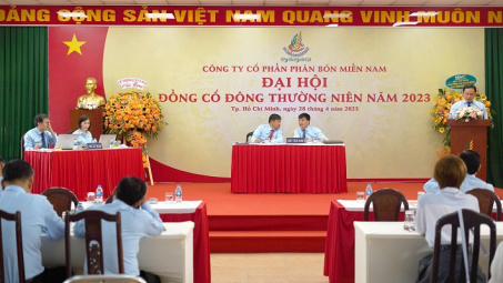 Phân bón miền Nam: Đánh giá nhu cầu thị trường để xác định chiến lược sản phẩm