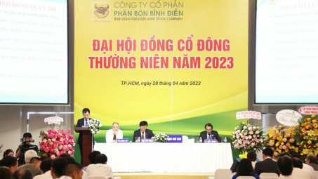 ĐHĐCĐ Phân bón Bình Điền: Nhận định năm 2023 nhiều thách thức, quyết tâm duy trì lợi nhuận