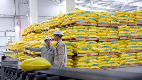 Đạm Phú Mỹ: Sau thời gian kinh doanh bùng nổ, lợi nhuận quý 1/2023 giảm 87%