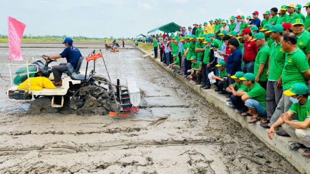Cơ giới hóa gieo sạ chính xác, hỗ trợ sản xuất lúa chất lượng cao
