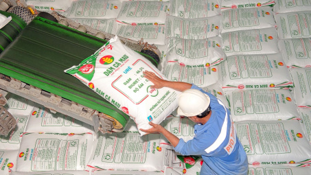 Đạm Cà Mau: Lợi nhuận quý 1/2023 giảm gần 85% khi giá phân bón sụt giảm mạnh