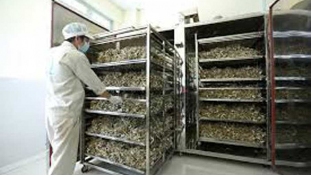 Điều khiển ổn định nhiệt độ lò sấy nông sản bằng bộ điều khiển thông minh