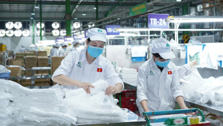Tập đoàn An Phát Holdings: Chi phí nguyên vật liệu tăng, lợi nhuận quý 1/2023 giảm 57%