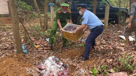 Phối hợp, ngăn chặn hàng tấn thực phẩm không nguồn gốc
