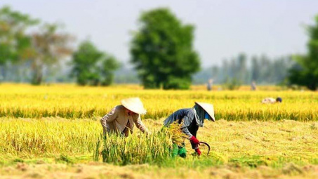 Thủ tướng yêu cầu chủ động các biện pháp ứng phó với nguy cơ nắng nóng, hạn hán, xâm nhập mặn